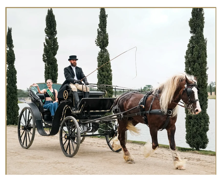 Calesa con caballo junto al lago